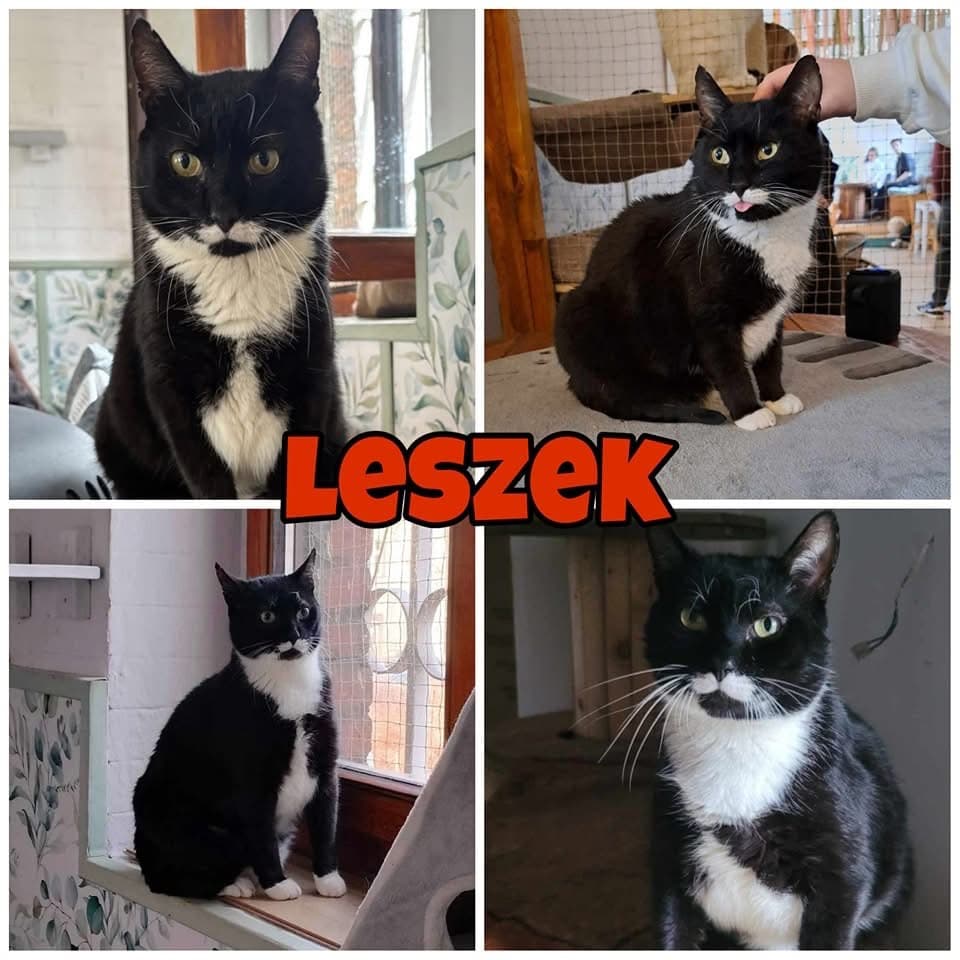 Leszek