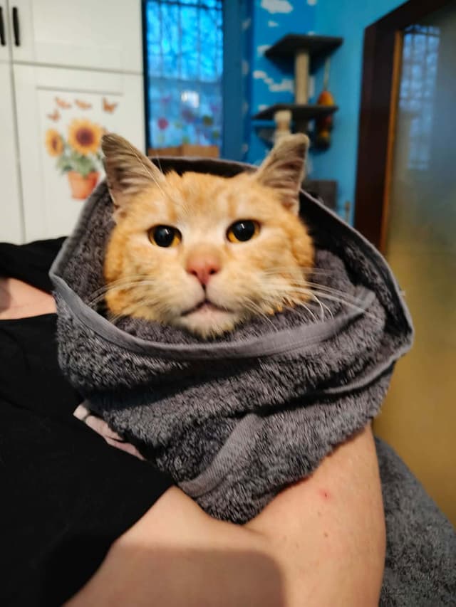 Utrzymanie i faktura za leczenie 